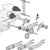 Swing Axle Beetle