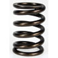 Valve Spring 1.7/2.0, T25 , Bay, CU