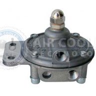 Fuel Pressure Regulator- Carburetor